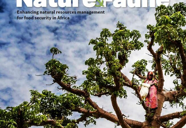 Trees for Global Benefits features in FAO’s Nature & Faune’ Magazine