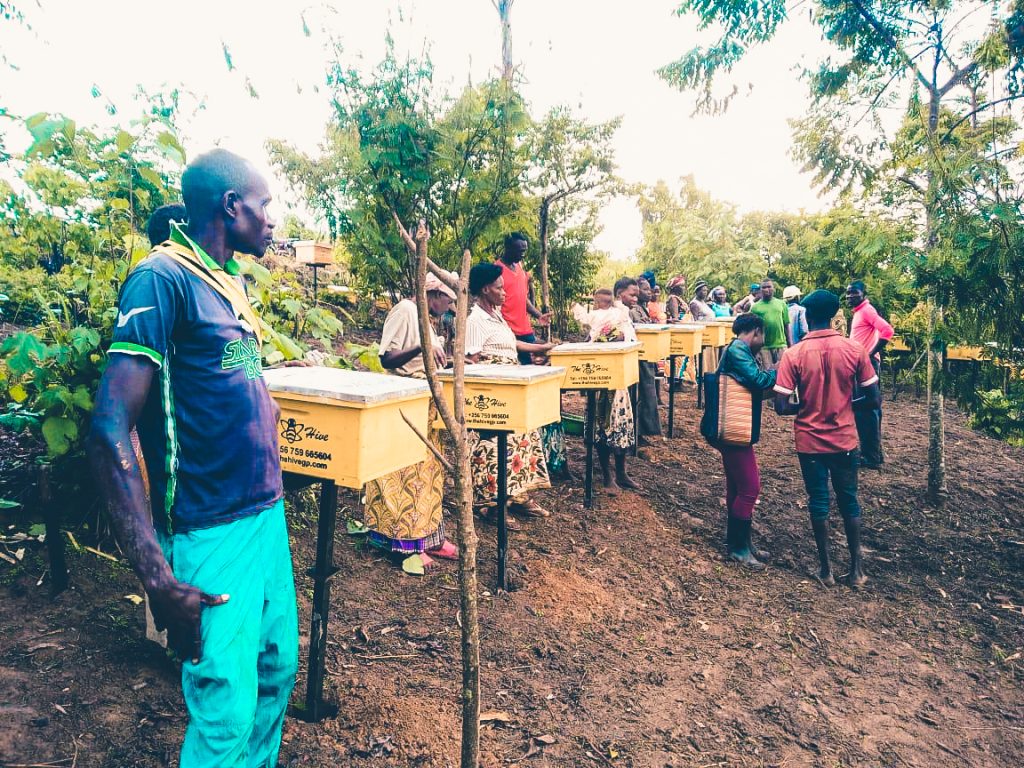 Motokai Communal Land Association (CLA) Scales out Apiary Enterprise with 70 Modern Beehives from the MoMo4C Programme